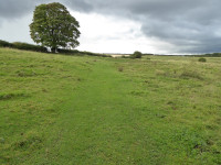 Empingham Marshy Meadows